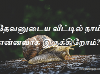 தேவனுடைய வீட்டில் நாம் என்னவாக இருக்கிறோம்