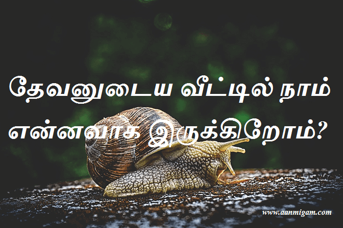 தேவனுடைய வீட்டில் நாம் என்னவாக இருக்கிறோம்