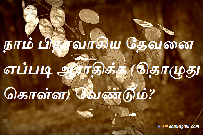 நாம் பிதாவாகிய தேவனை எப்படி ஆராதிக்க (தொழுது கொள்ள) வேண்டும்