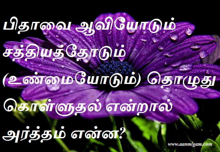 பிதாவை ஆவியோடும் சத்தியத்தோடும் (உண்மையோடும்) தொழுது கொள்ளுதல் என்றால் அர்த்தம் என்ன
