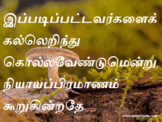 இப்படிப்பட்டவர்களைக் கல்லெறிந்து கொல்லவேண்டுமென்று நியாயப்பிரமாணம் கூறுகின்றதே