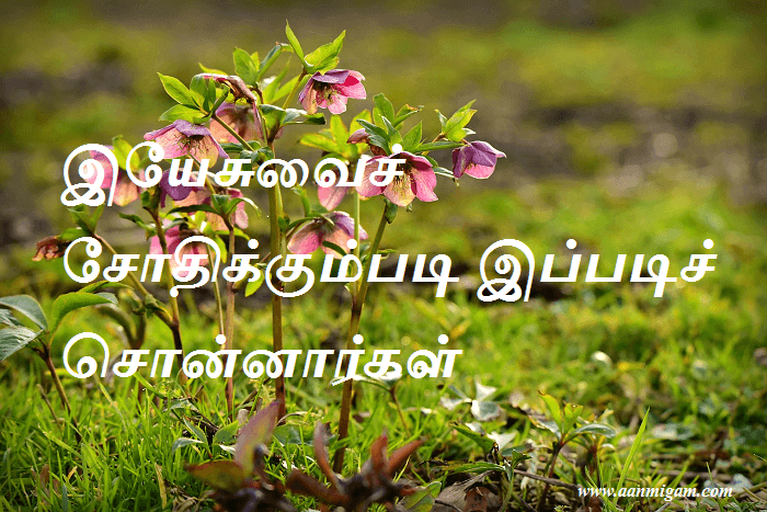 இயேசுவைச் சோதிக்கும்படி இப்படிச் சொன்னார்கள்