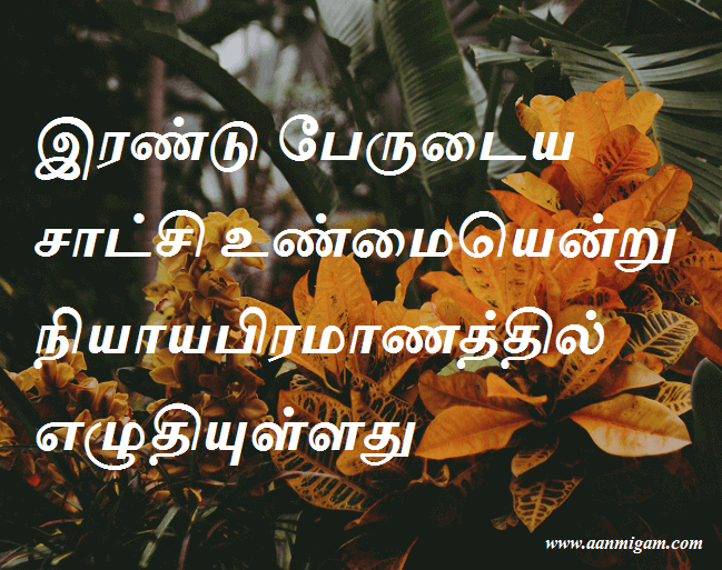 இரண்டு பேருடைய சாட்சி உண்மையென்று நியாயபிரமாணத்தில் எழுதியுள்ளது.