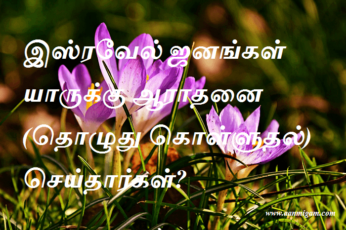இஸ்ரவேல் ஜனங்கள் யாருக்கு ஆராதனை (தொழுது கொள்ளுதல்) செய்தார்கள்