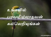 உங்களில் பாவமில்லாதவன் கல்லெறியுங்கள்