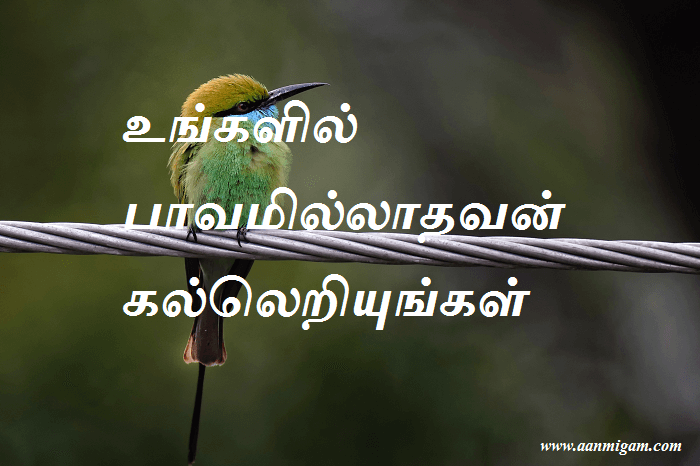 உங்களில் பாவமில்லாதவன் கல்லெறியுங்கள்