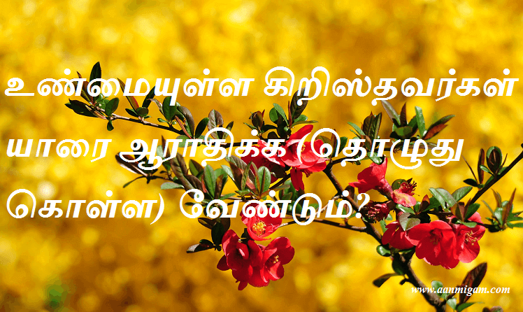 உண்மையுள்ள கிறிஸ்தவர்கள் யாரை ஆராதிக்க (தொழுது கொள்ள) வேண்டும்