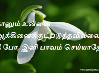 நானும் உன்னை ஆக்கினைக்குட்படுத்தவில்லை, நீ போ, இனி பாவம் செய்யாதே