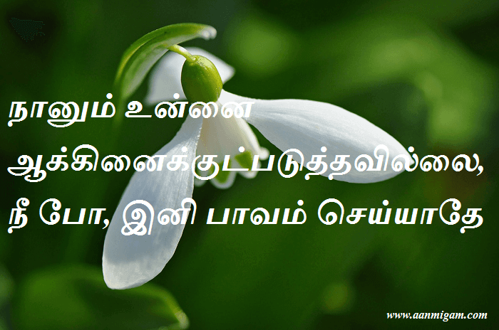 நானும் உன்னை ஆக்கினைக்குட்படுத்தவில்லை, நீ போ, இனி பாவம் செய்யாதே