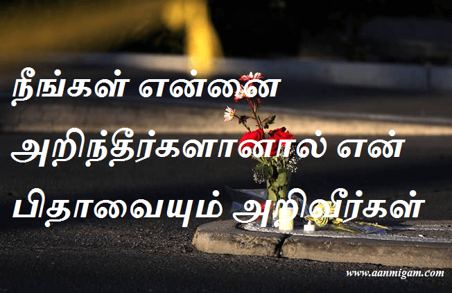 நீங்கள் என்னை அறிந்தீர்களானால் என் பிதாவையும் அறிவீர்கள்