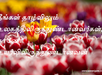 நீங்கள் தாழ்விலும் உலகத்திலிருந்துண்டானவர்கள், நானோ உயர்விலிருந்துண்டானவன்.