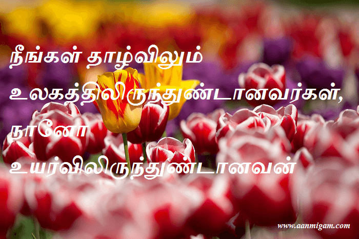 நீங்கள் தாழ்விலும் உலகத்திலிருந்துண்டானவர்கள், நானோ உயர்விலிருந்துண்டானவன்.