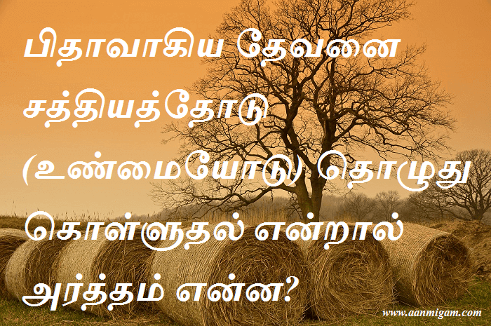 பிதாவாகிய தேவனை சத்தியத்தோடு (உண்மையோடு) தொழுது கொள்ளுதல் என்றால் அர்த்தம் என்ன