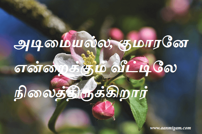 அடிமையல்ல, குமாரனே என்றைக்கும் வீட்டிலே நிலைத்திருக்கிறார்