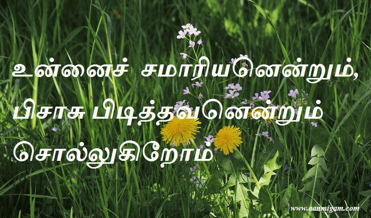 உன்னைச் சமாரியனென்றும், பிசாசு பிடித்தவனென்றும் சொல்லுகிறோம்