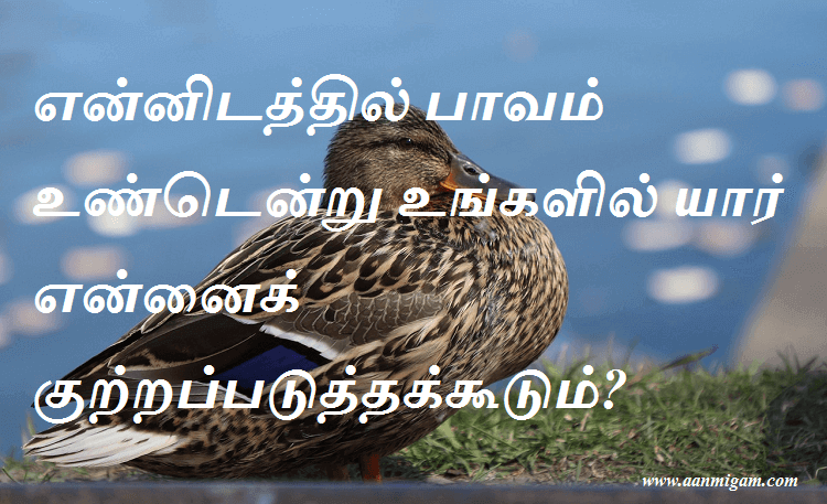 என்னிடத்தில் பாவம் உண்டென்று உங்களில் யார் என்னைக் குற்றப்படுத்தக்கூடும்