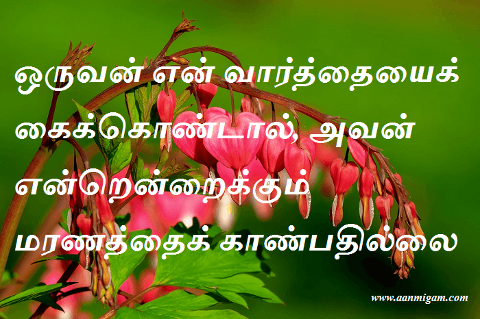 ஒருவன் என் வார்த்தையைக் கைக்கொண்டால், அவன் என்றென்றைக்கும் மரணத்தைக் காண்பதில்லை.