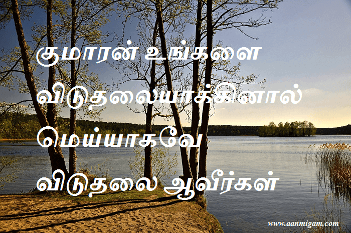 குமாரன் உங்களை விடுதலையாக்கினால் மெய்யாகவே விடுதலை ஆவீர்கள்