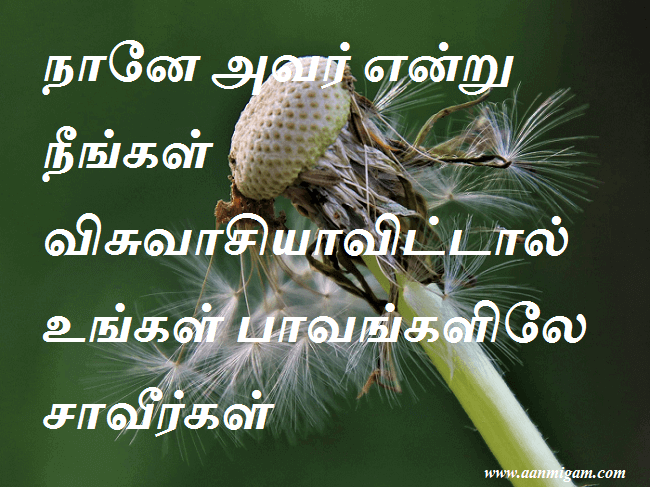 நானே அவர் என்று நீங்கள் விசுவாசியாவிட்டால் உங்கள் பாவங்களிலே சாவீர்கள்