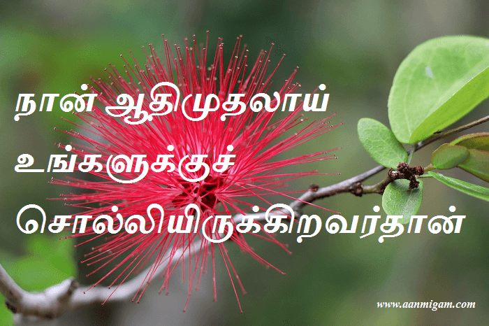 நான் ஆதிமுதலாய் உங்களுக்குச் சொல்லியிருக்கிறவர்தான்