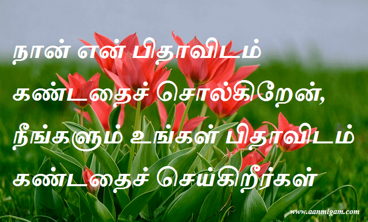 நான் என் பிதாவிடம் கண்டதைச் சொல்கிறேன், நீங்களும் உங்கள் பிதாவிடம் கண்டதைச் செய்கிறீர்கள்.