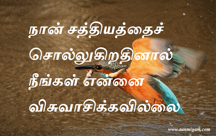 நான் சத்தியத்தைச் சொல்லுகிறதினால் நீங்கள் என்னை விசுவாசிக்கவில்லை.