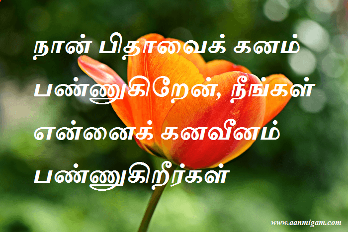 நான் பிதாவைக் கனம் பண்ணுகிறேன், நீங்கள் என்னைக் கனவீனம் பண்ணுகிறீர்கள்