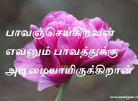 பாவஞ்செய்கிறவன் எவனும் பாவத்துக்கு அடிமையாயிருக்கிறான்
