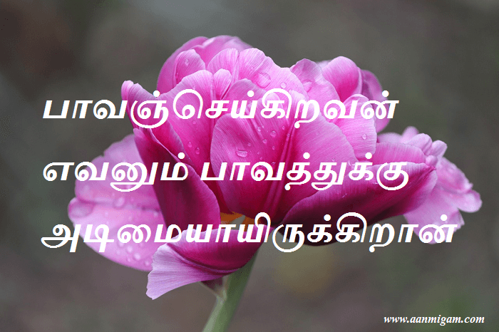 பாவஞ்செய்கிறவன் எவனும் பாவத்துக்கு அடிமையாயிருக்கிறான்
