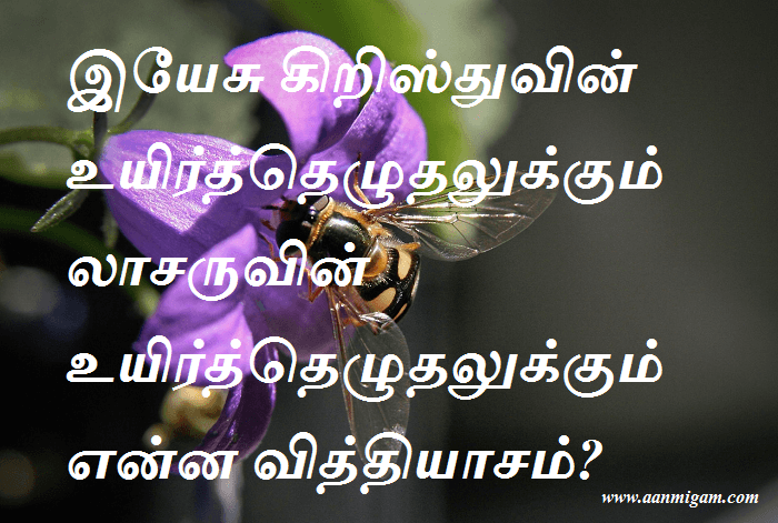 இயேசு கிறிஸ்துவின் உயிர்த்தெழுதலுக்கும் லாசருவின் உயிர்த்தெழுதலுக்கும் என்ன வித்தியாசம்