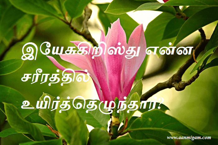 இயேசுகிறிஸ்து என்ன சரீரத்தில் உயிர்த்தெழுந்தார்