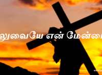 சிலுவையே என் மேன்மை