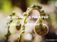 அவனோ நான்தான் அவன் என்றான்