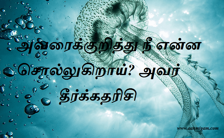 அவரைக்குறித்து நீ என்ன சொல்லுகிறாய் அவர் தீர்க்கதரிசி