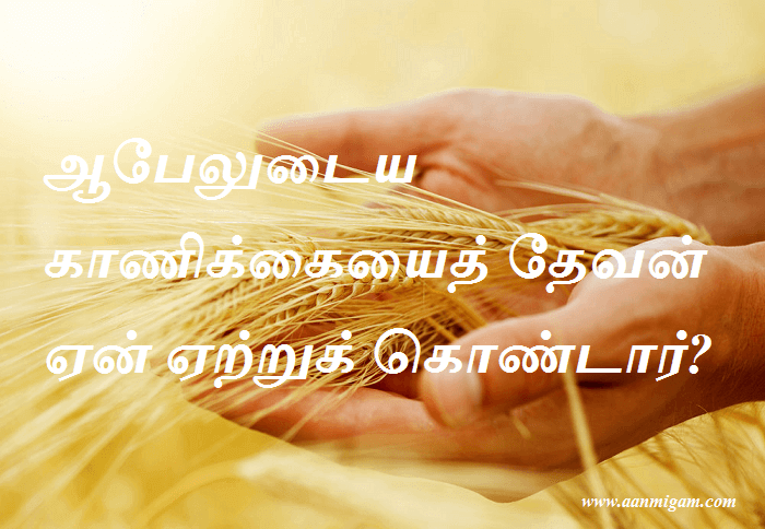 ஆபேலுடைய காணிக்கையைத் தேவன் ஏன் ஏற்றுக் கொண்டார்