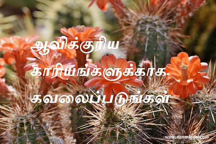 ஆவிக்குரிய காரியங்களுக்காக கவலைப்படுங்கள்