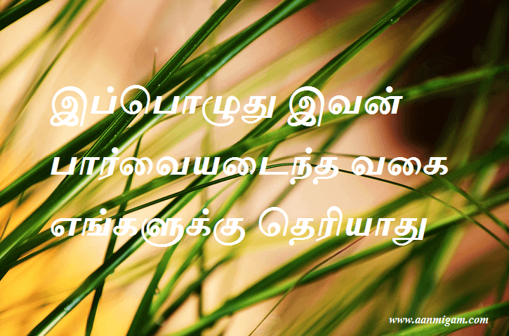 இப்பொழுது இவன் பார்வையடைந்த வகை எங்களுக்கு தெரியாது