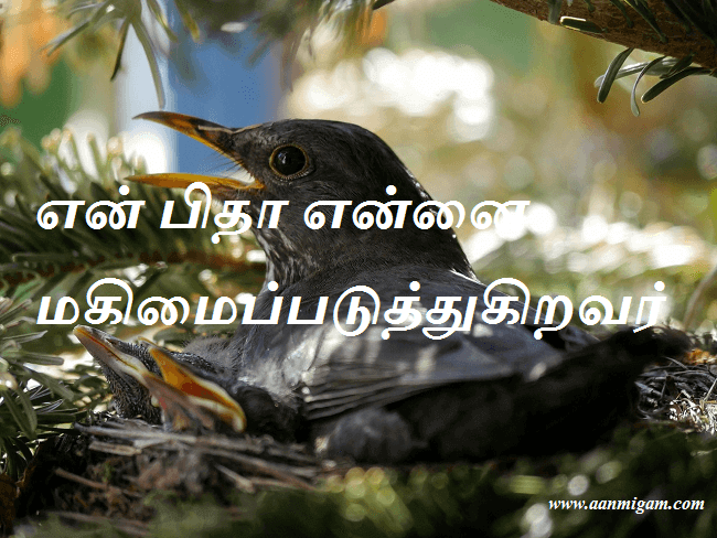 என் பிதா என்னை மகிமைப்படுத்துகிறவர்