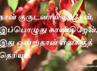நான் குருடனாயிருந்தேன், இப்பொழுது காண்கிறேன், இது ஒன்றுதான் எனக்குத் தெரியும்.