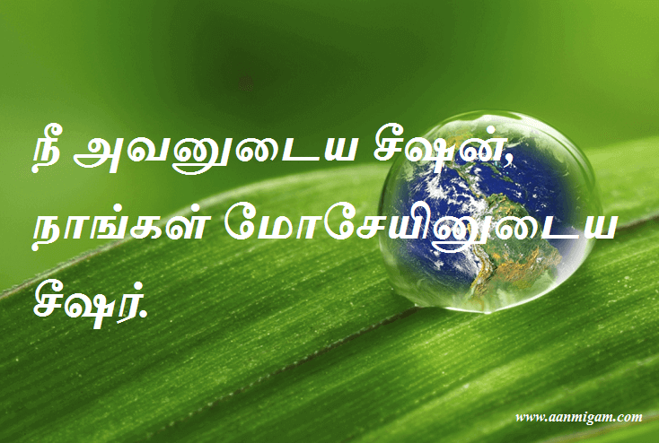 நீ அவனுடைய சீஷன், நாங்கள்