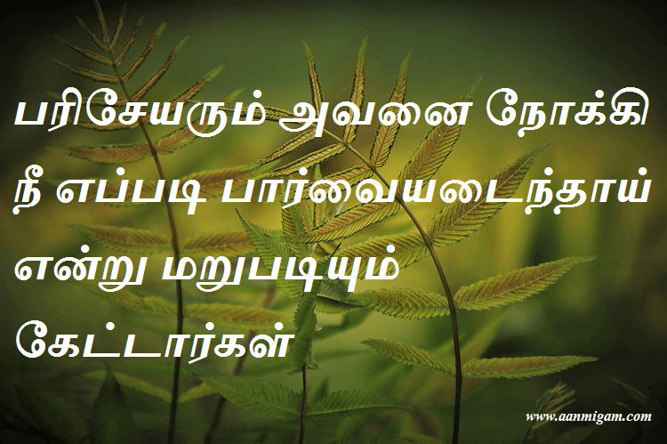 பரிசேயரும் அவனை நோக்கி நீ எப்படி பார்வையடைந்தாய் என்று மறுபடியும் கேட்டார்கள்