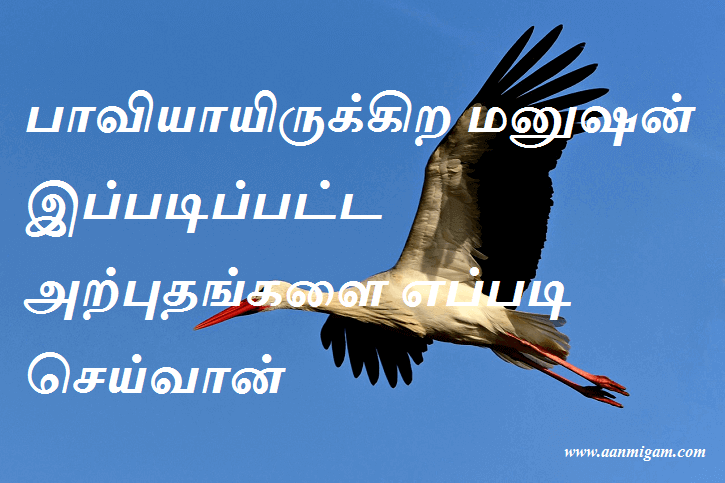 பாவியாயிருக்கிற மனுஷன் இப்படிப்பட்ட அற்புதங்களை எப்படி செய்வான்