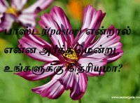 பாஸ்டர்(pastor) என்றால் என்ன அர்த்தமென்று உங்களுக்கு தெரியுமா