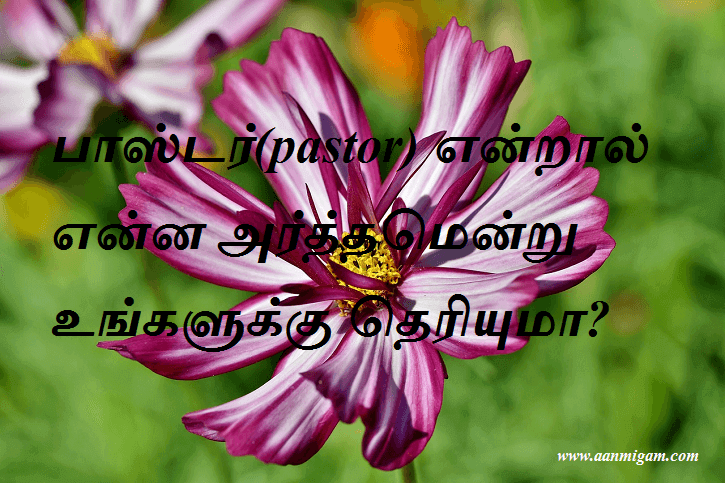 பாஸ்டர்(pastor) என்றால் என்ன அர்த்தமென்று உங்களுக்கு தெரியுமா