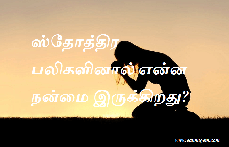 ஸ்தோத்திர பலிகளினால் என்ன நன்மை இருக்கிறது