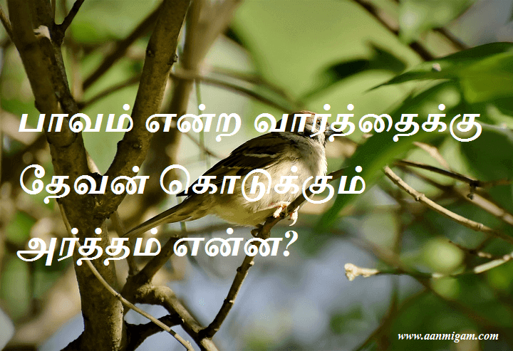 பாவம் என்ற வார்த்தைக்கு தேவன் கொடுக்கும் அர்த்தம் என்ன