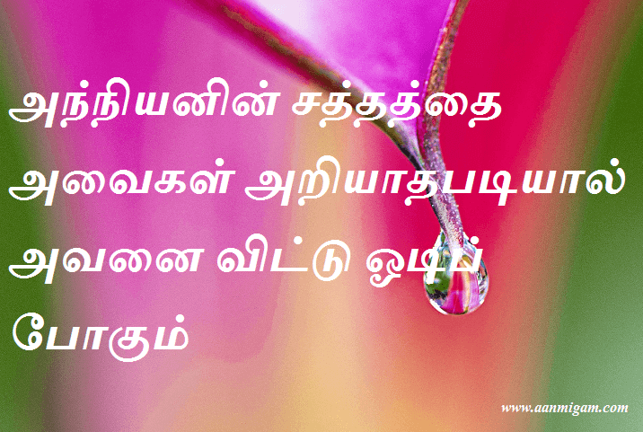 அந்நியனின் சத்தத்தை அவைகள் அறியாதபடியால் அவனை விட்டு ஓடிப் போகும்