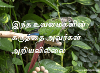 இந்த உவமைகளின் கருத்தை அவர்கள் அறியவில்லை
