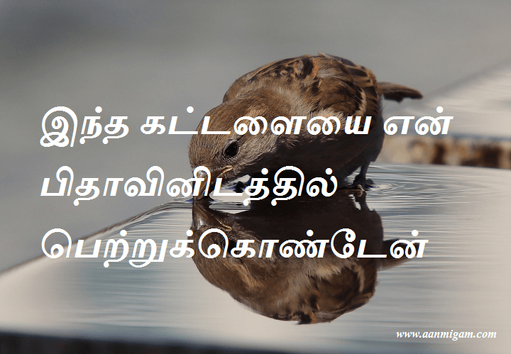 இந்த கட்டளையை என் பிதாவினிடத்தில் பெற்றுக்கொண்டேன்