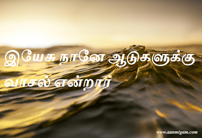 இயேசு நானே ஆடுகளுக்கு வாசல் என்றார்